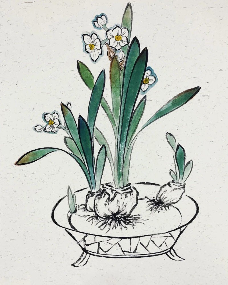 How to draw a daffodil 7