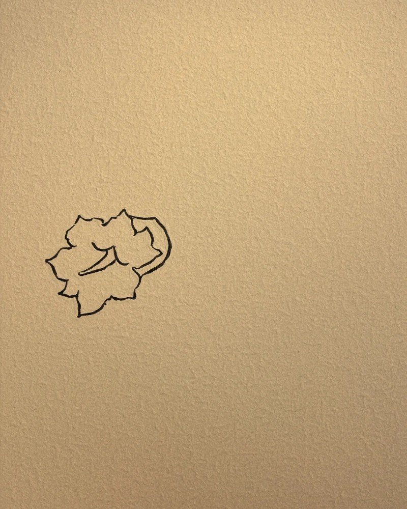 How to draw a daffodil easy 1