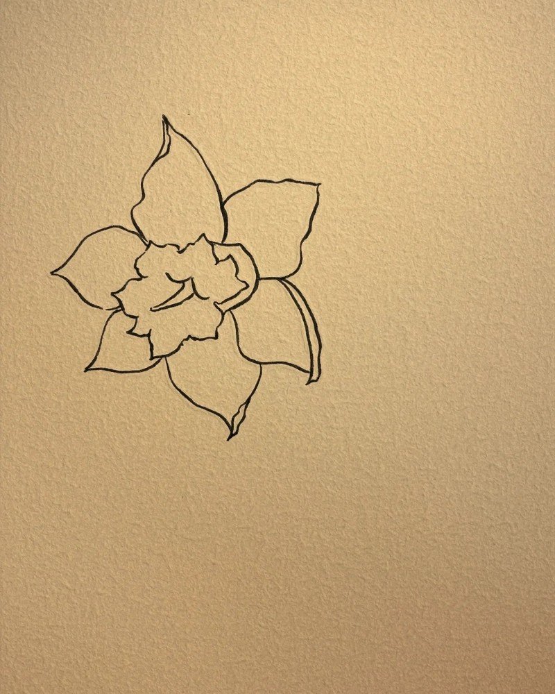 How to draw a daffodil easy 2