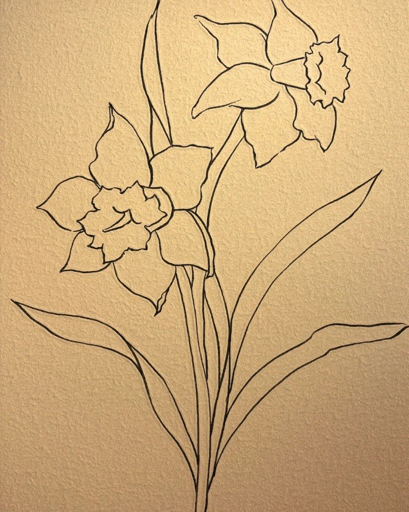 How to draw a daffodil easy 4