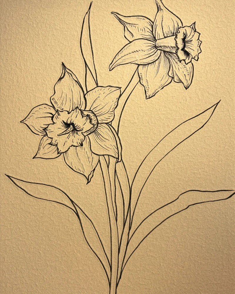 How to draw a daffodil easy 6