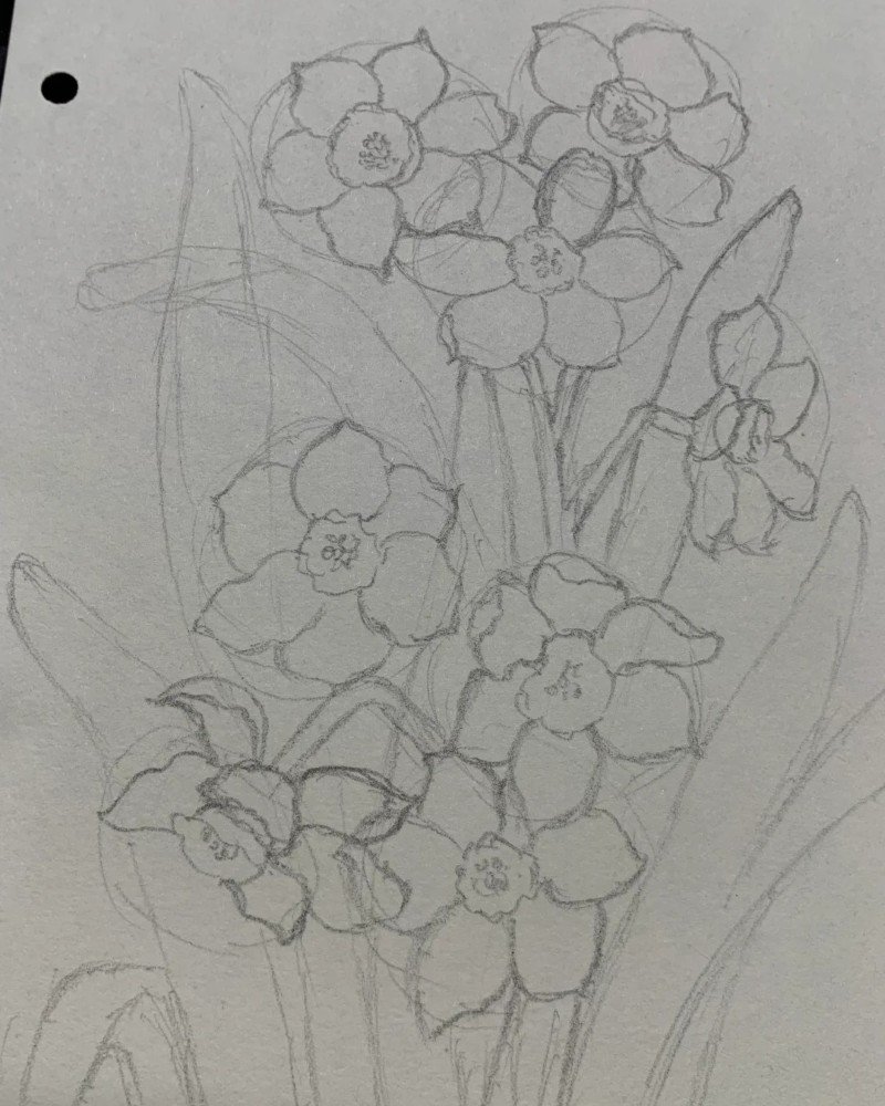 How to draw a daffodil flower easy 2