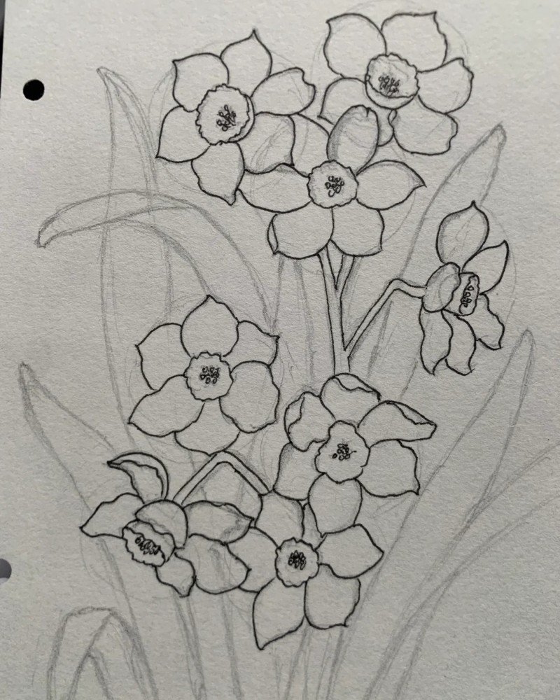 How to draw a daffodil flower easy 4