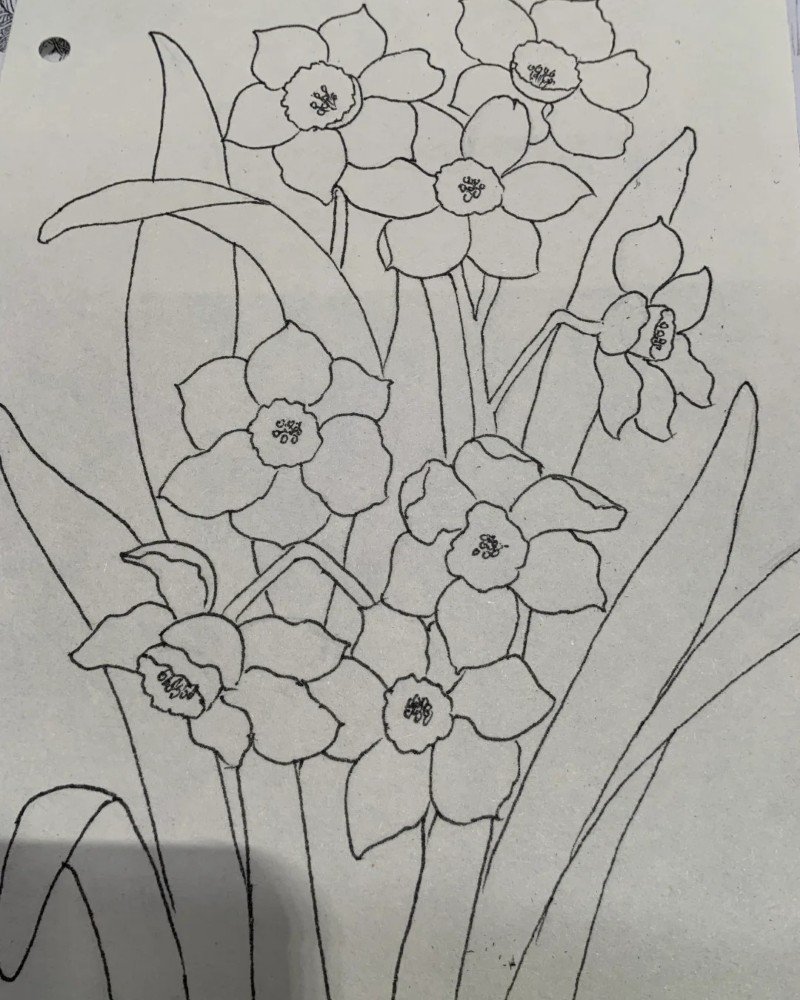 How to draw a daffodil flower easy 5
