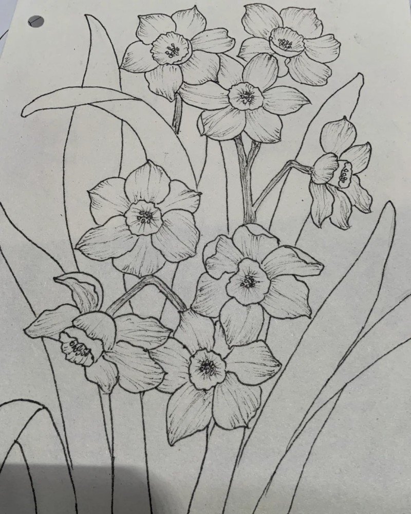 How to draw a daffodil flower easy