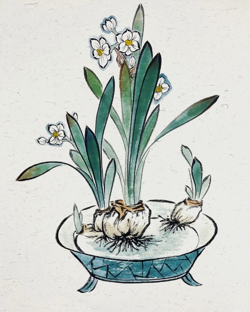 How to draw a daffodil