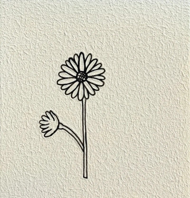 How to draw a daisy 6
