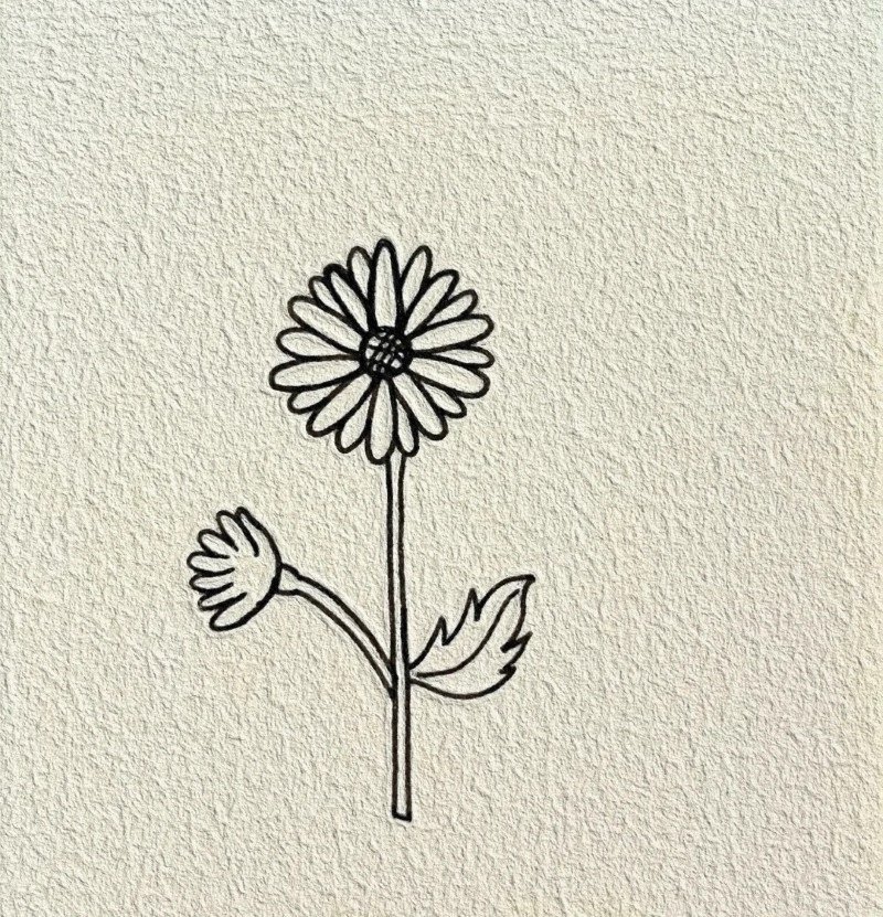 How to draw a daisy 7