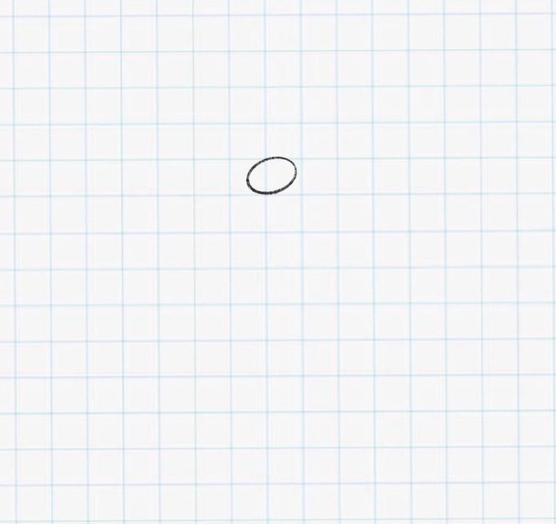 How to draw a daisy flower 1