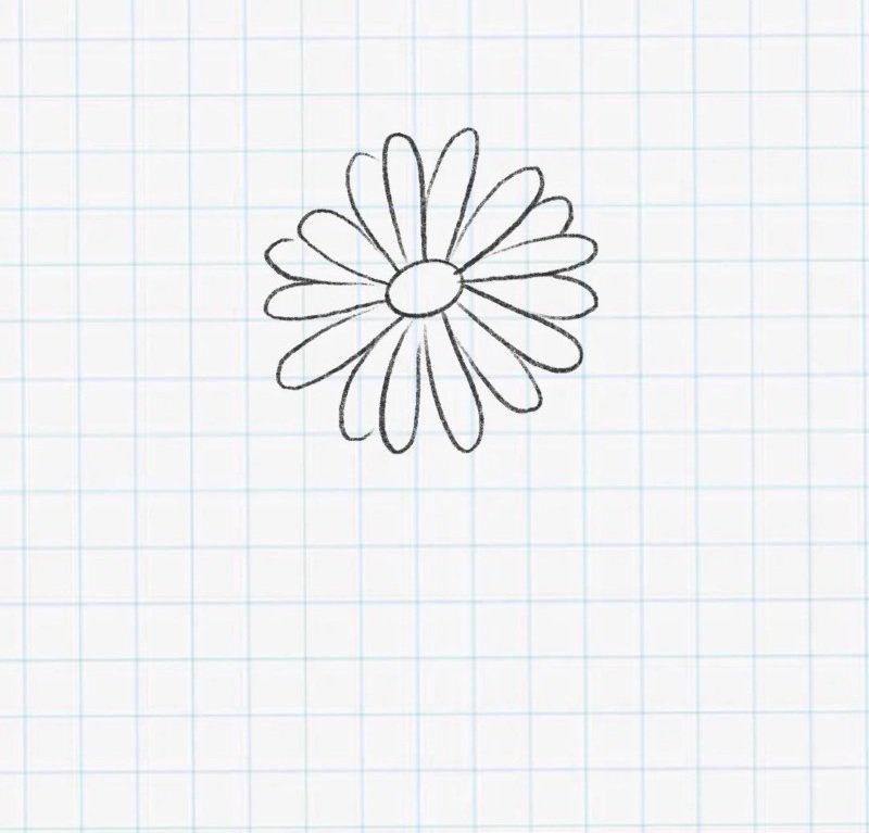 How to draw a daisy flower 2
