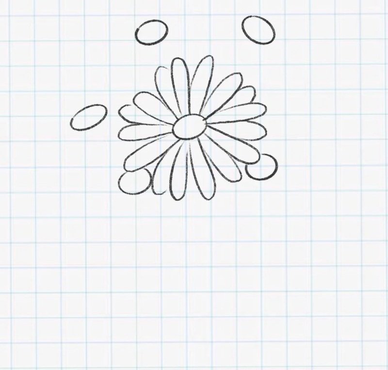 How to draw a daisy flower 3