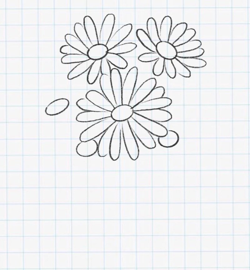 How to draw a daisy flower 4 