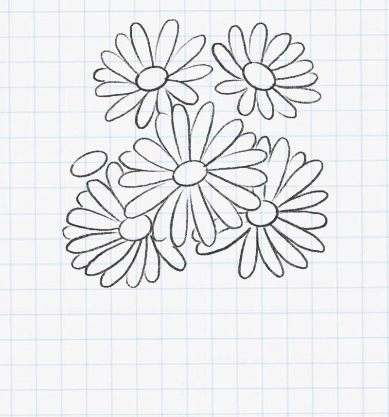 How to draw a daisy flower 5