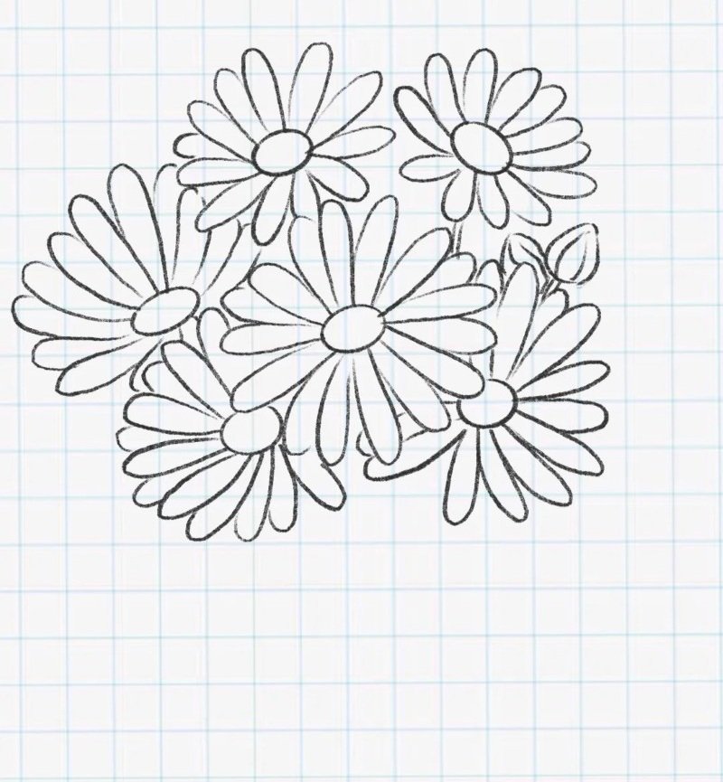 How to draw a daisy flower 6
