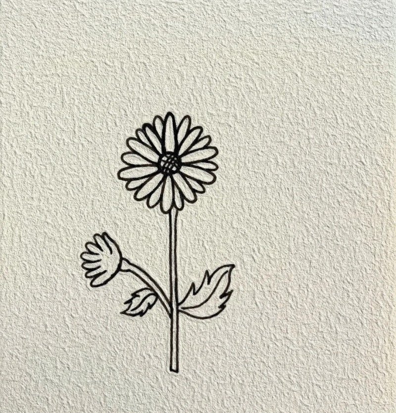 How to draw a daisy
