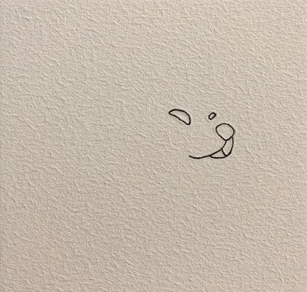 How to draw a dog husky  1