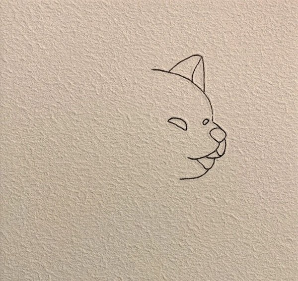 How to draw a dog husky  2