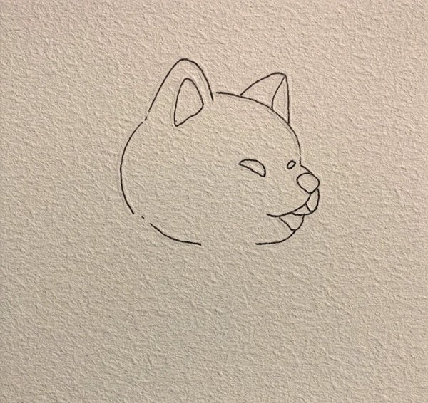 How to draw a dog husky 3