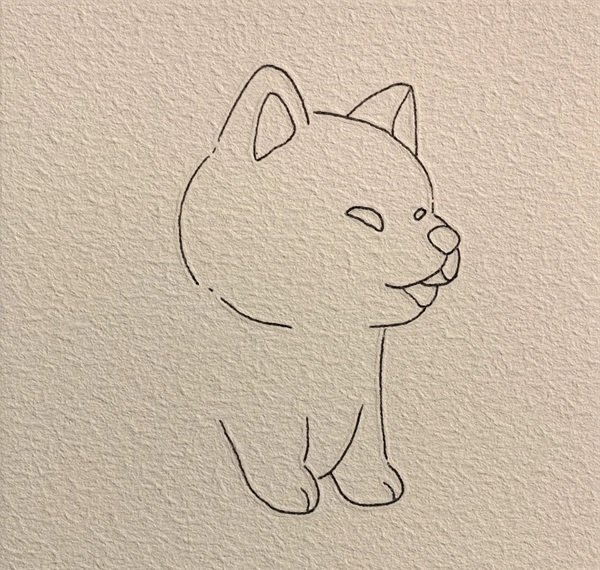 How to draw a dog husky 4