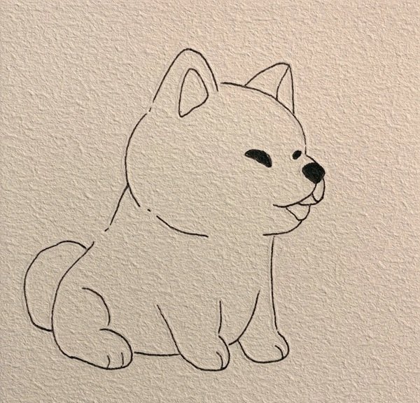 How to draw a dog husky 6