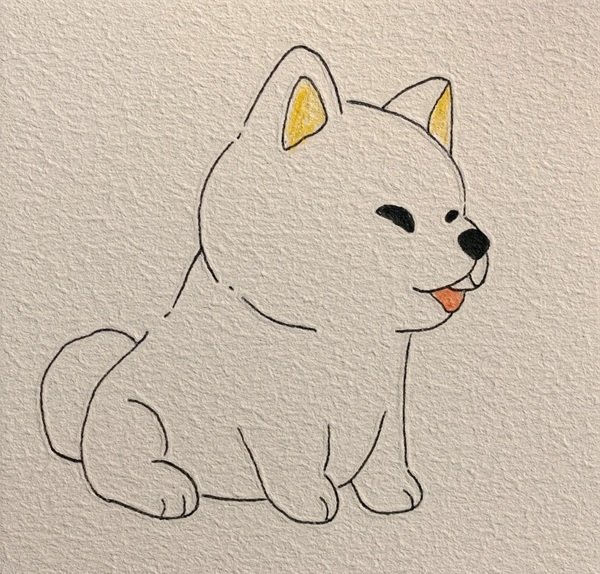 How to draw a dog husky 