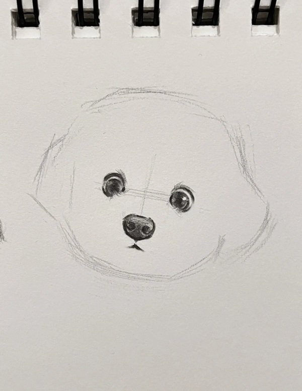 How to draw a dog step by step 2