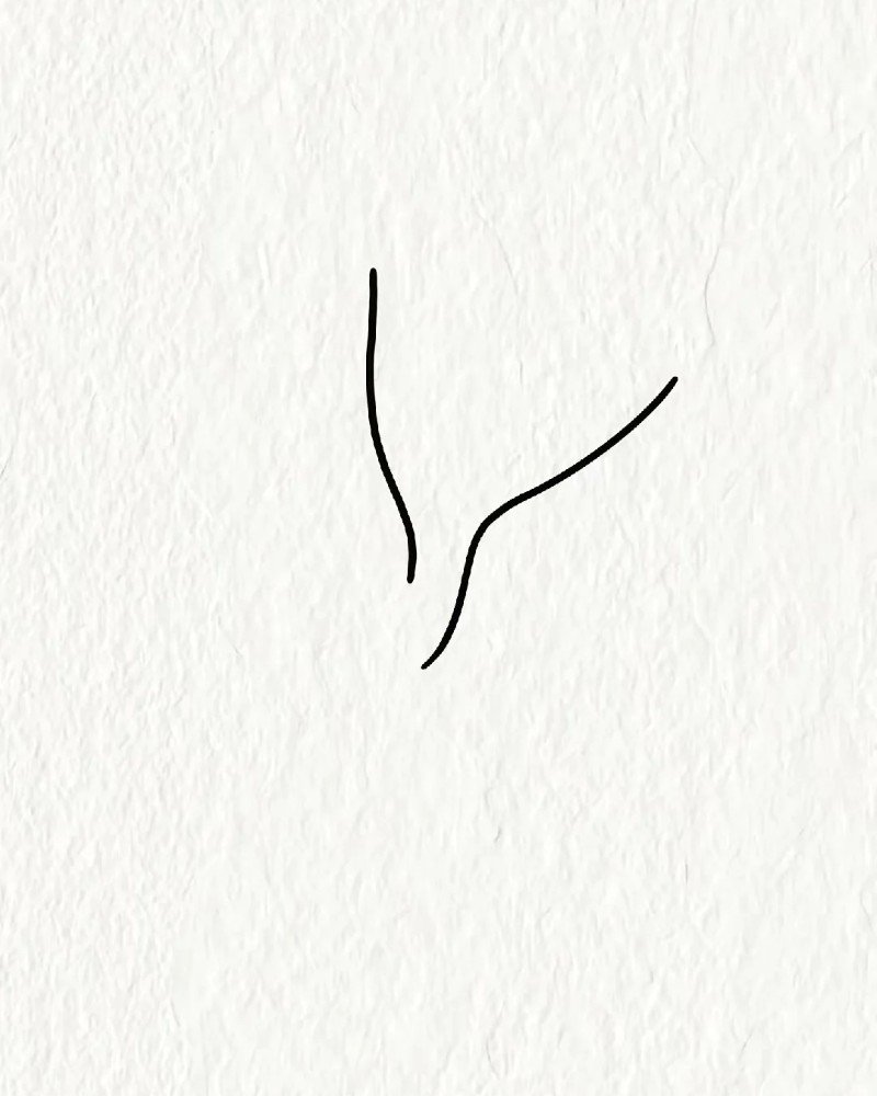 How to draw a dove bird step by step 1