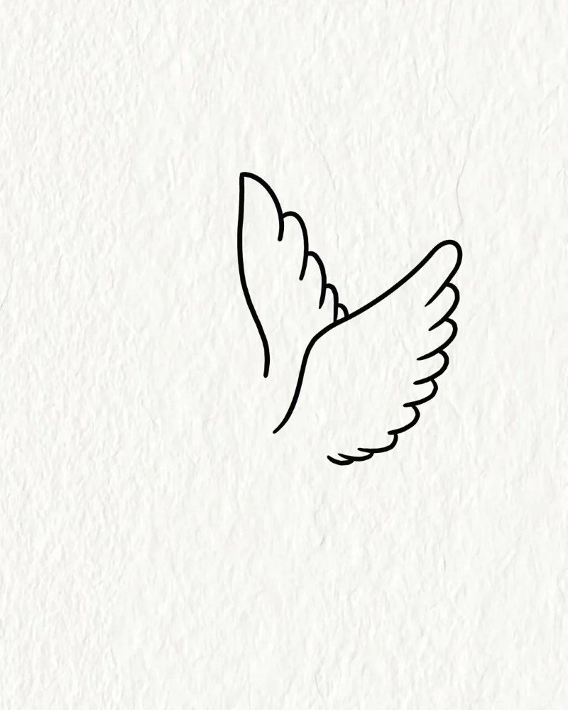 How to draw a dove bird step by step 2