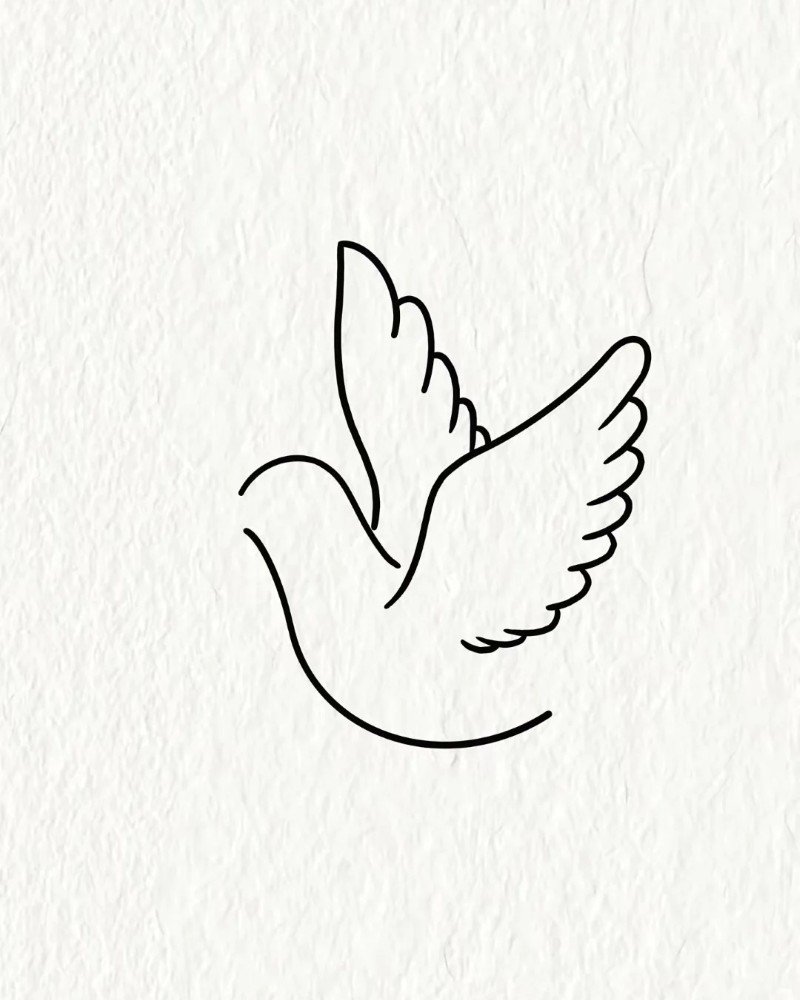 How to draw a dove bird step by step 3