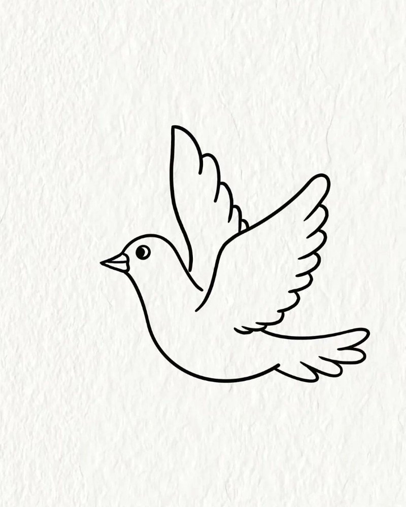 How to draw a dove bird step by step 4