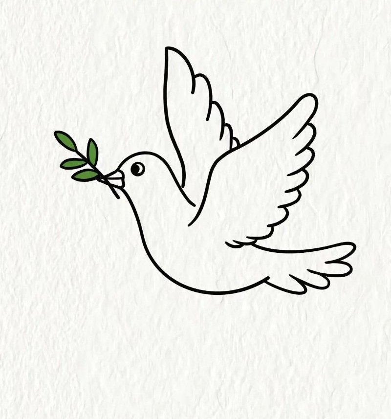 How to draw a dove bird step by step