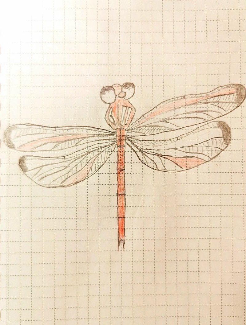 How to draw a dragonfly easy for kids