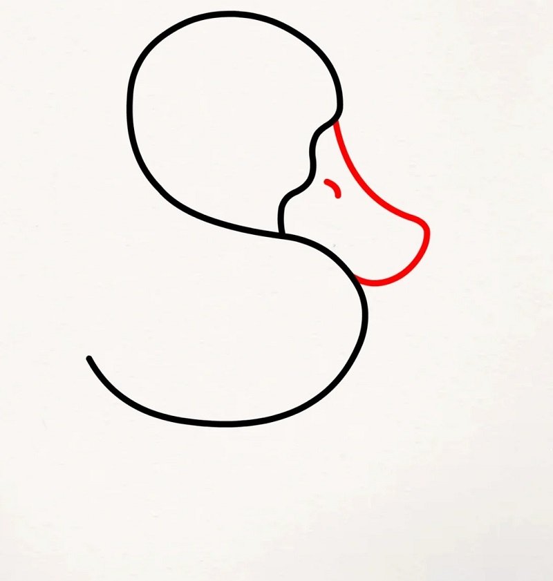 How to draw a duck easy for kids 3