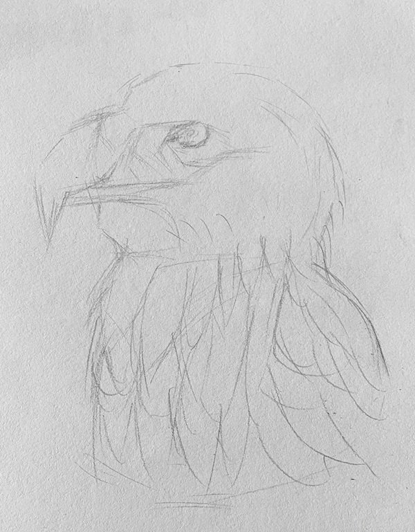 How to draw a eagle easy 2
