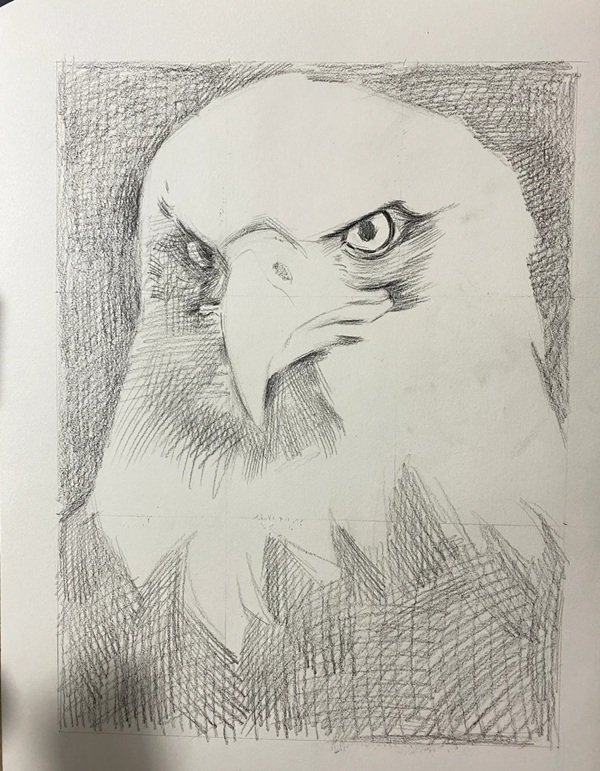 How to draw a eagle for kids 1