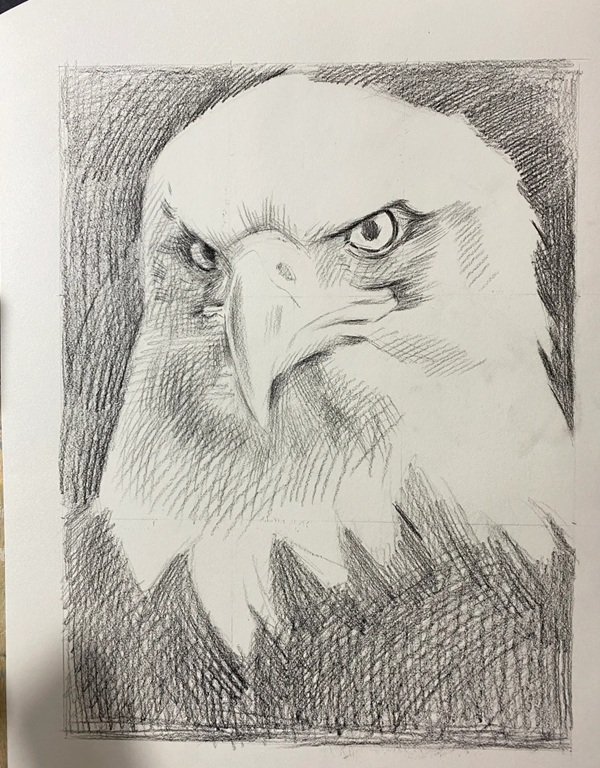 How to draw a eagle for kids 2