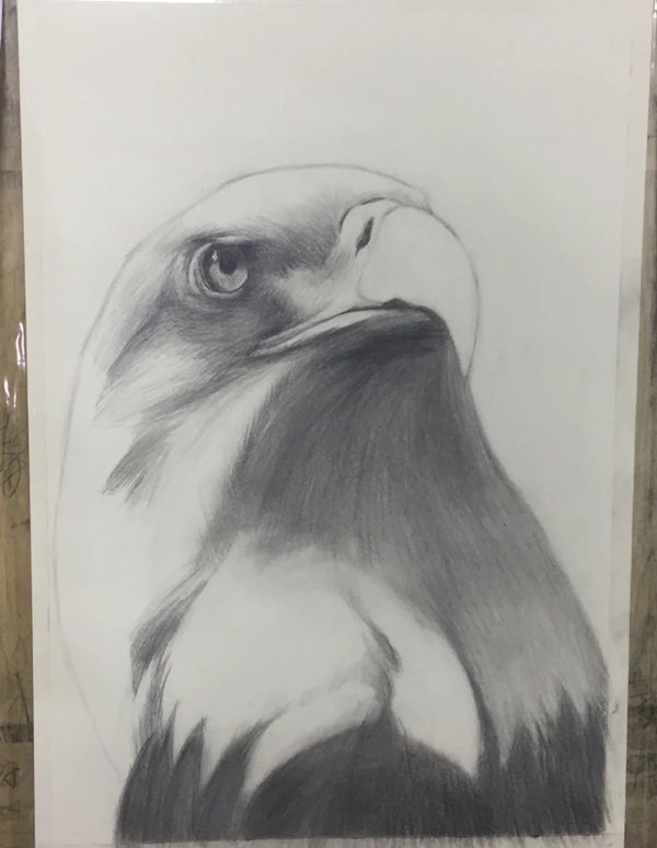 How to draw a easy eagle 4