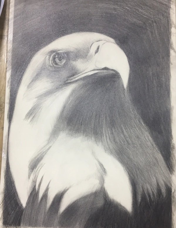 How to draw a easy eagle 5