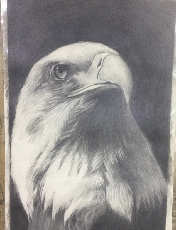 How to draw a easy eagle