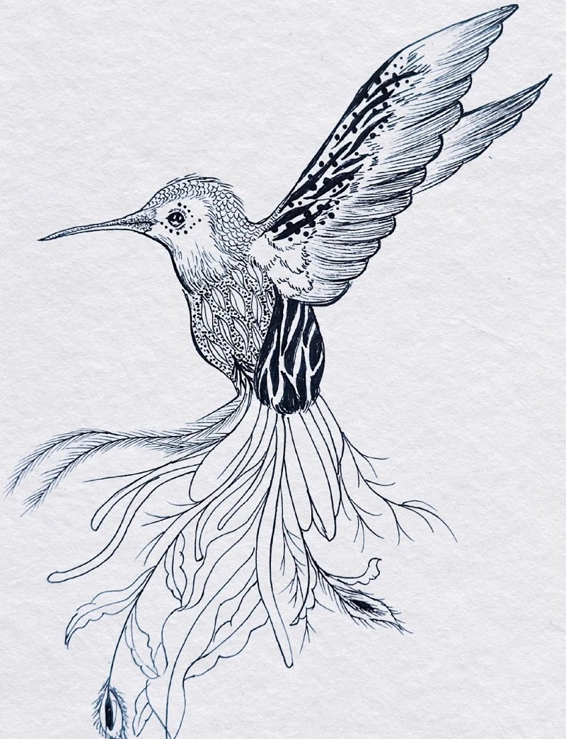 How to draw a easy hummingbird 4