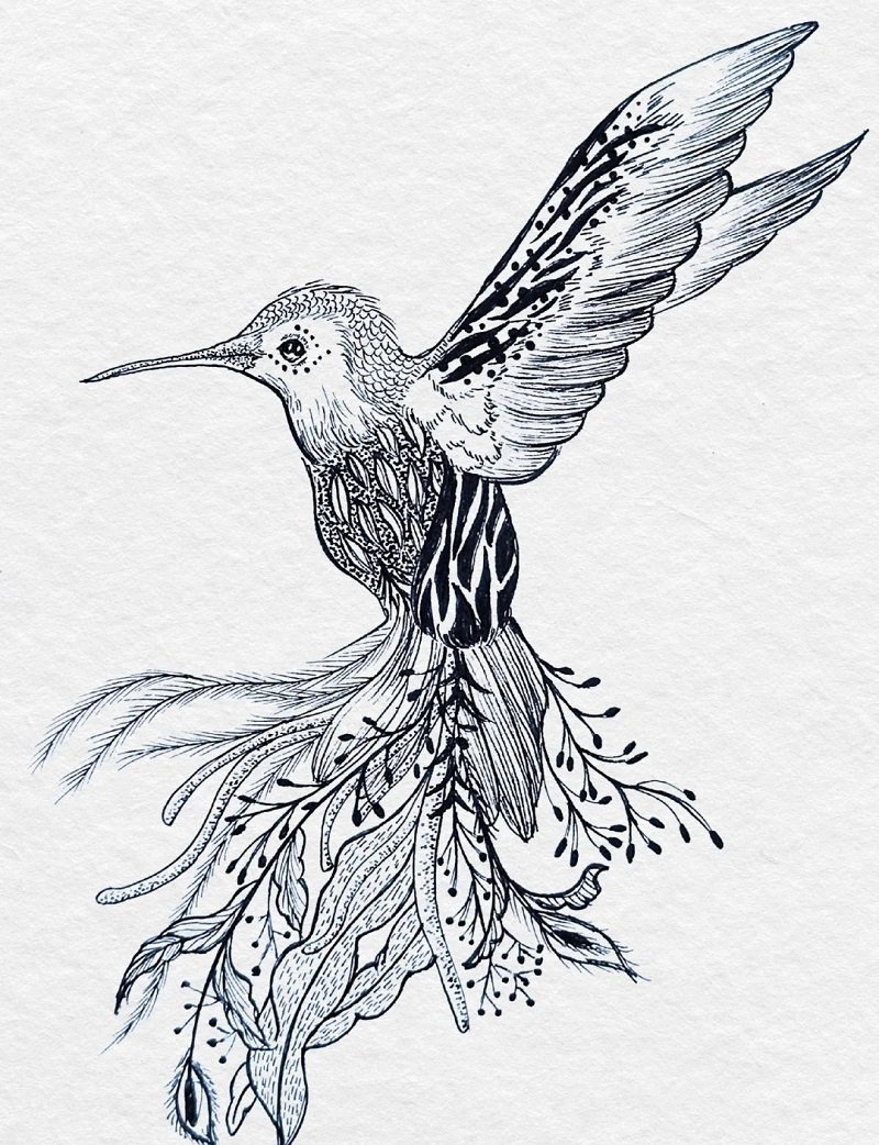 How to draw a easy hummingbird