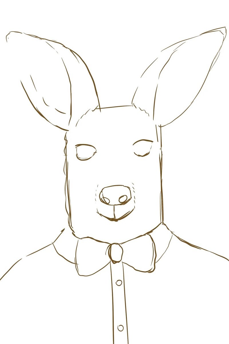 How to draw a easy kangaroo 4