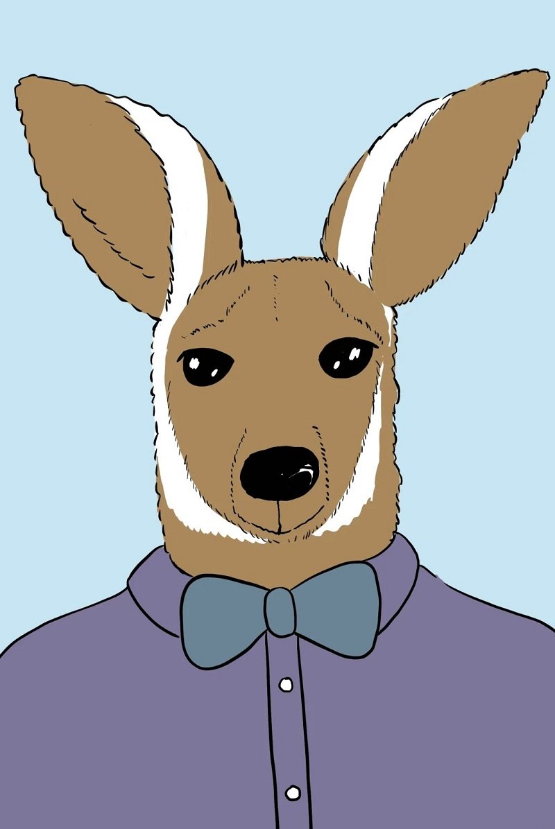 How to draw a easy kangaroo 5