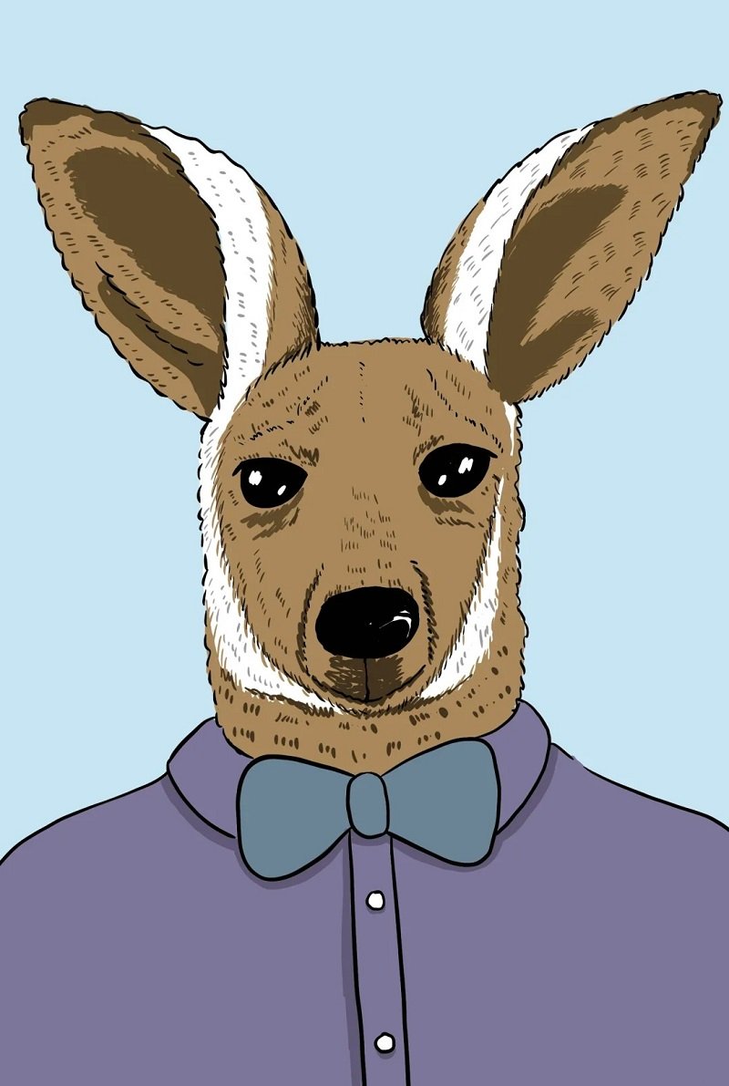 How to draw a easy kangaroo