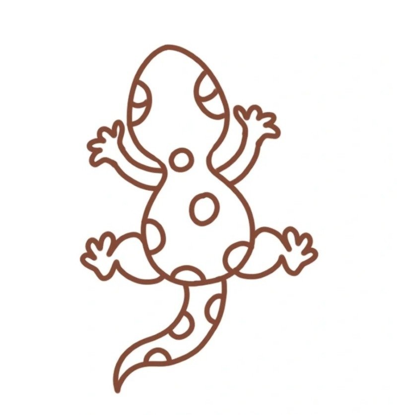 How to draw a easy Lizard 5