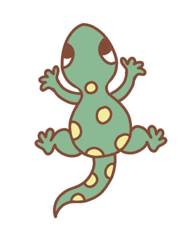 How to draw a easy Lizard