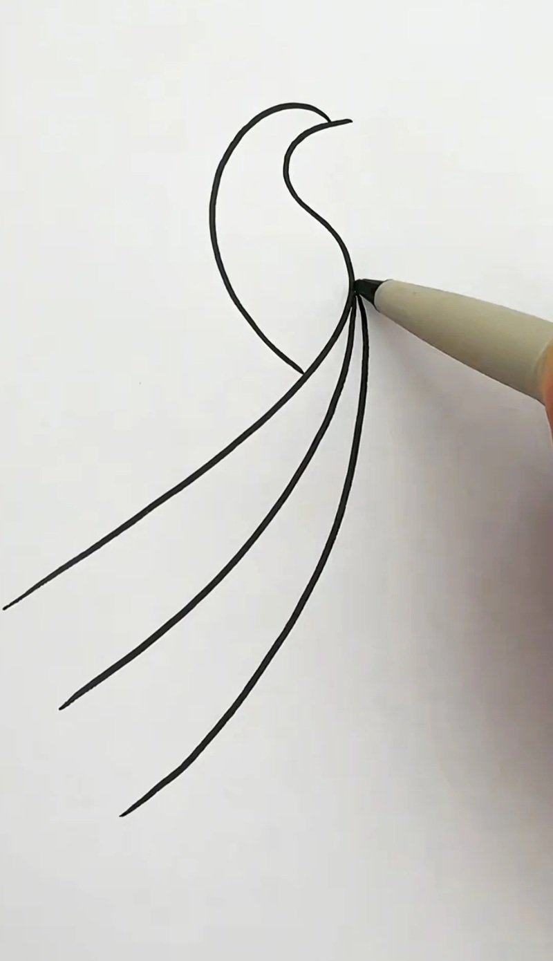 How to draw a easy peacock 2