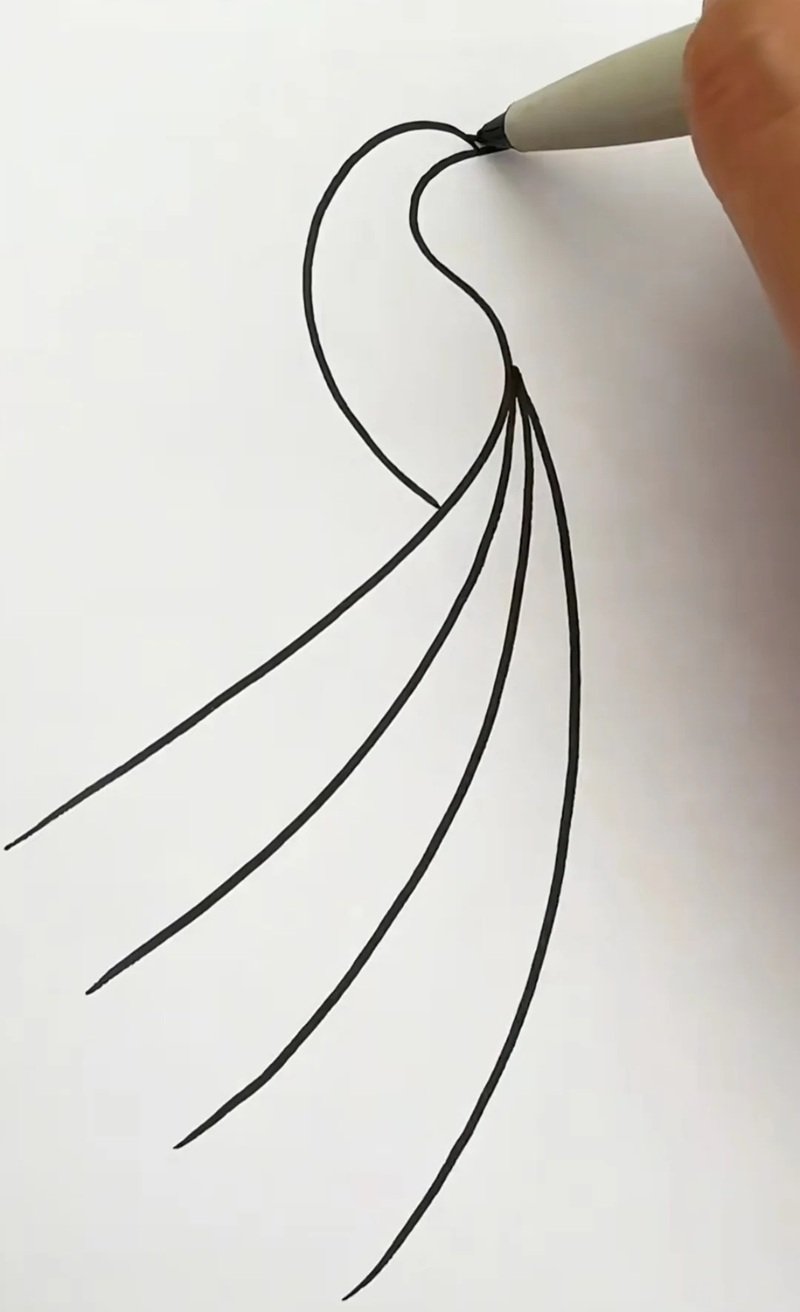 How to draw a easy peacock 3