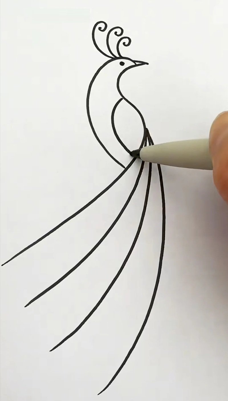 How to draw a easy peacock 4
