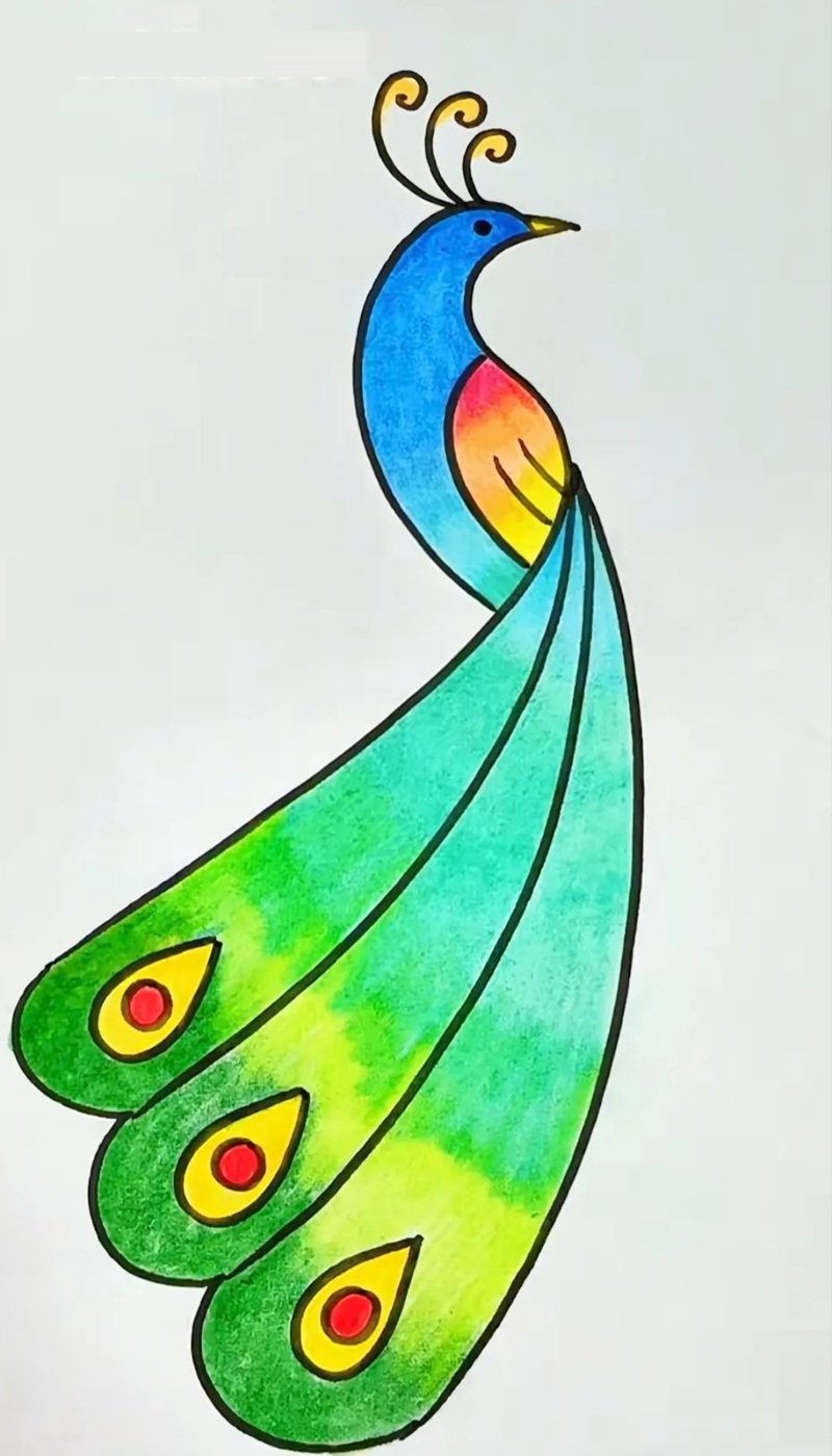 How to draw a easy peacock